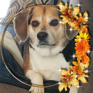 Meet your Posher, Edna